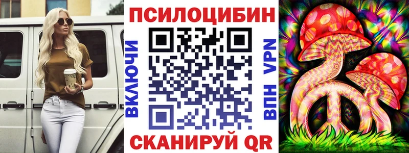 цена   Шумерля  Галлюциногенные грибы Cubensis 